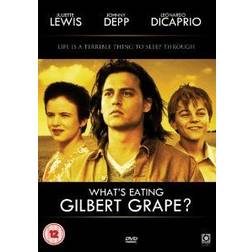 What's Eating Gilbert Grape [DVD] [1993]